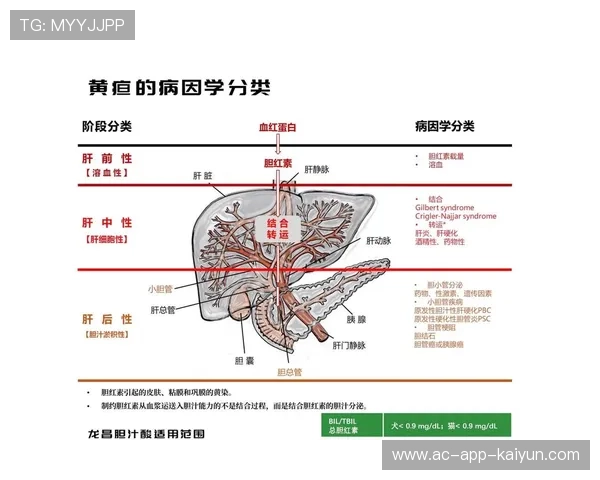 解析 2026 赛季职业球员的“身体疲劳分布图”：单赛季 75 场比赛后的生理损伤研究。